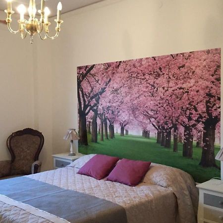 The Stone Garden Apartment Noto Bagian luar foto