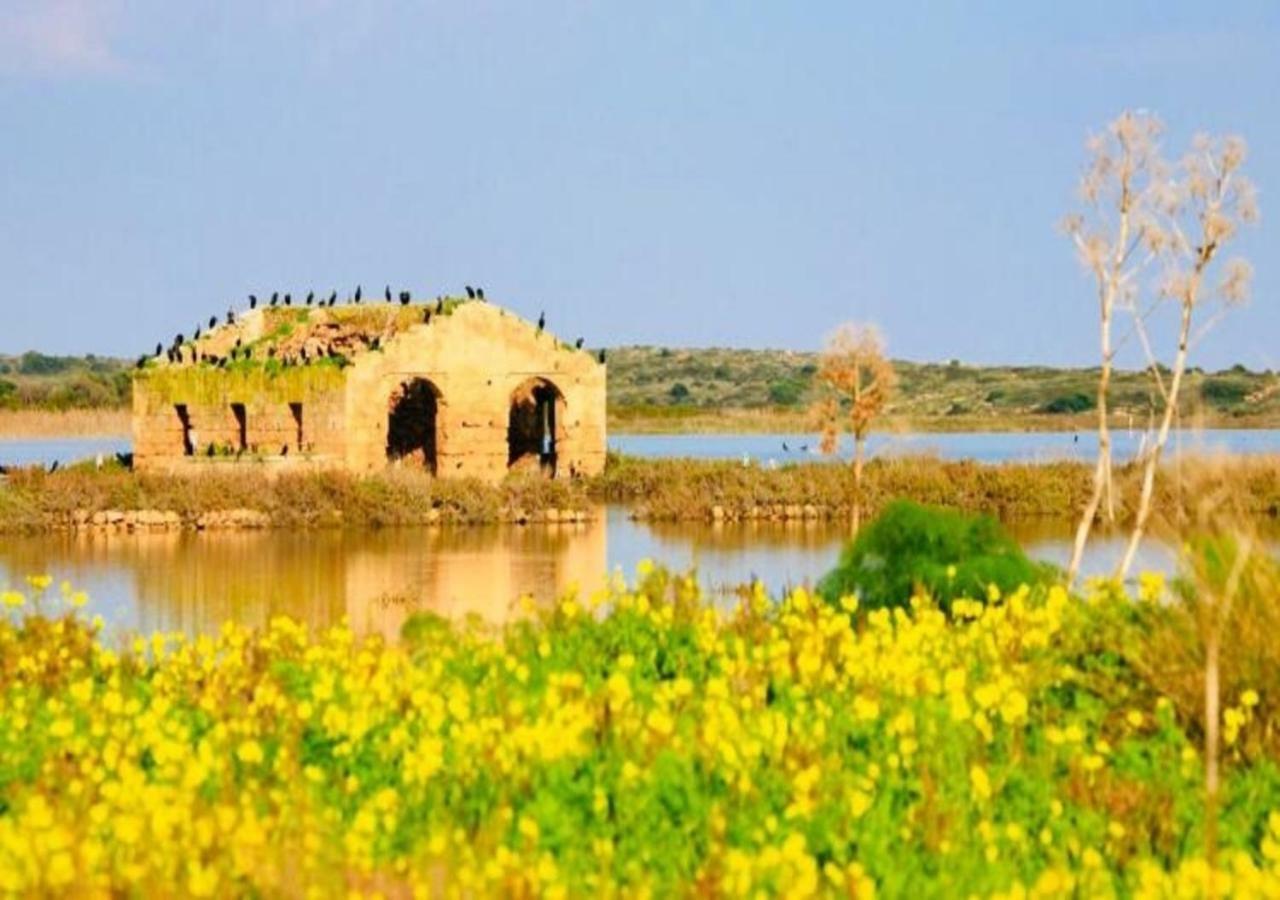 The Stone Garden Apartment Noto Bagian luar foto